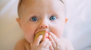 baby chewing on block